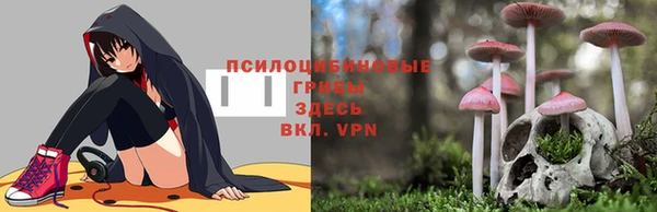 мдпв Балабаново