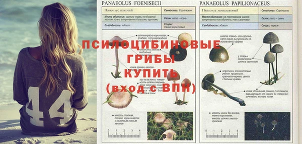 прущая мука Навашино