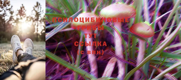 мяу мяу мука Надым